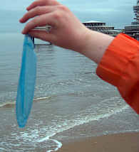 Am 24.4.2004 wurde das Kondom Foto an der Nordsee gemacht!!!!!!